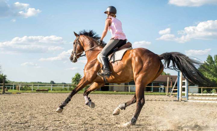 HORSE RIVIERA RESORT