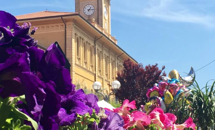 Cattolica in fiore 2025 OFFER