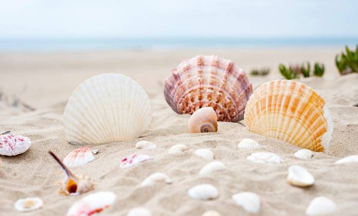 Offerta Prenota Prima la tua Vacanza a Cattolica