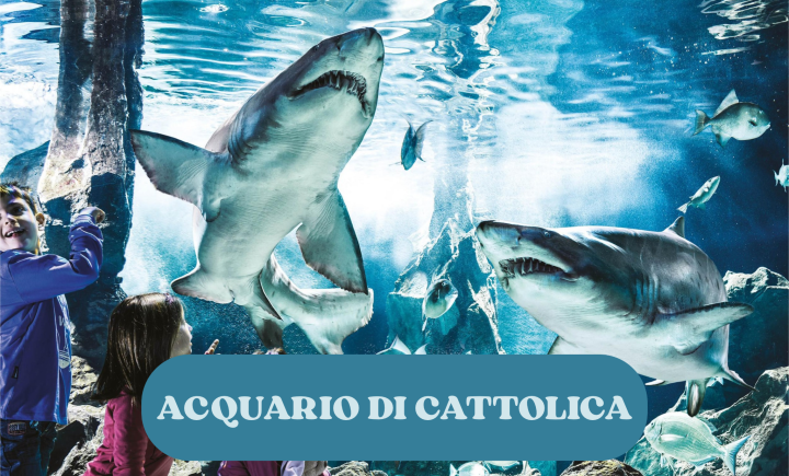OFFERTA ACQUARIO DI CATTOLICA 2027