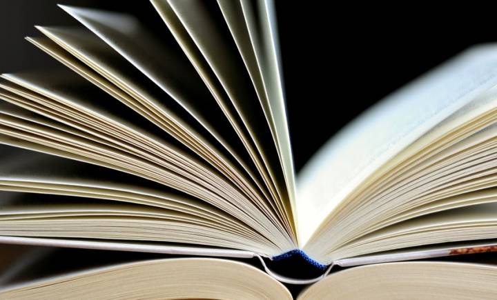 Cattolica Mystfest Offer 2024