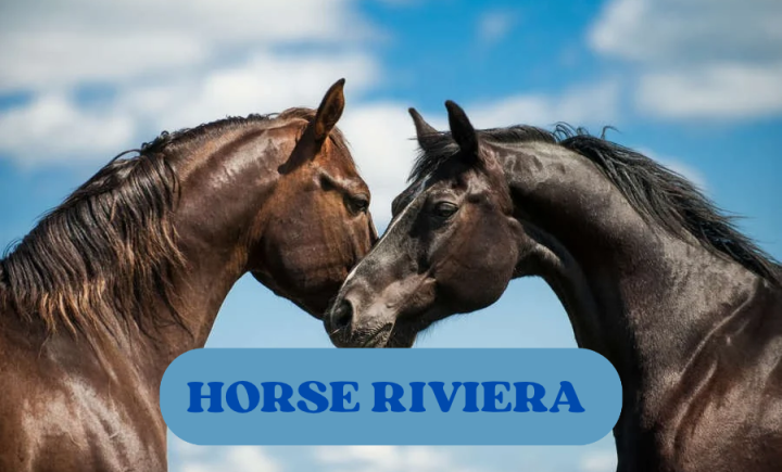 OFFERTA HORSE RIVIERA 2027