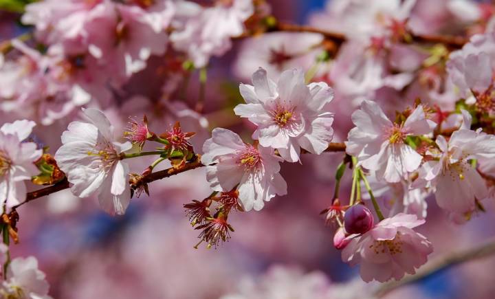 Offerta Ponti di primavera a Cattolica 2026